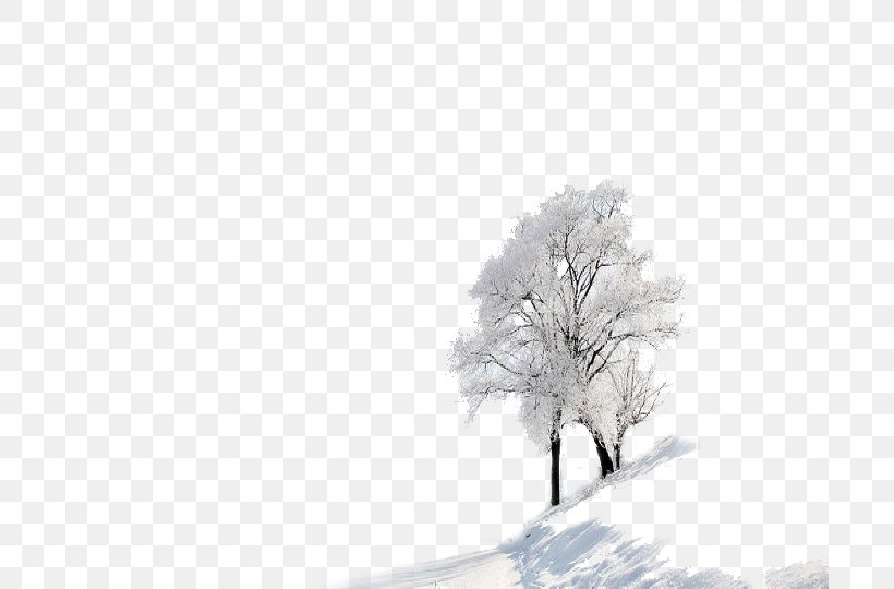 Daxue Winter Snow Wallpaper, PNG, 700x540px, Daxue, Black And White, Computer, Monochrome, Silver Download Free