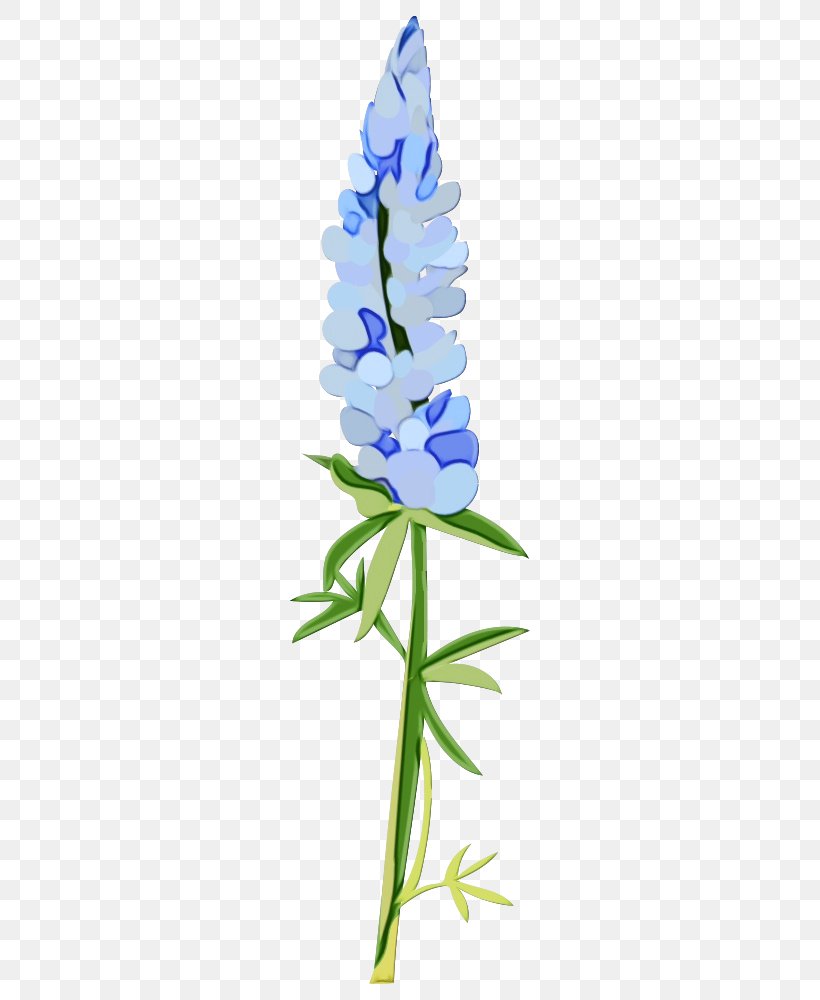 Flower Flowering Plant Plant Blue Bluebonnet, PNG, 436x1000px, Watercolor, Blue, Bluebonnet, Cut Flowers, Delphinium Download Free