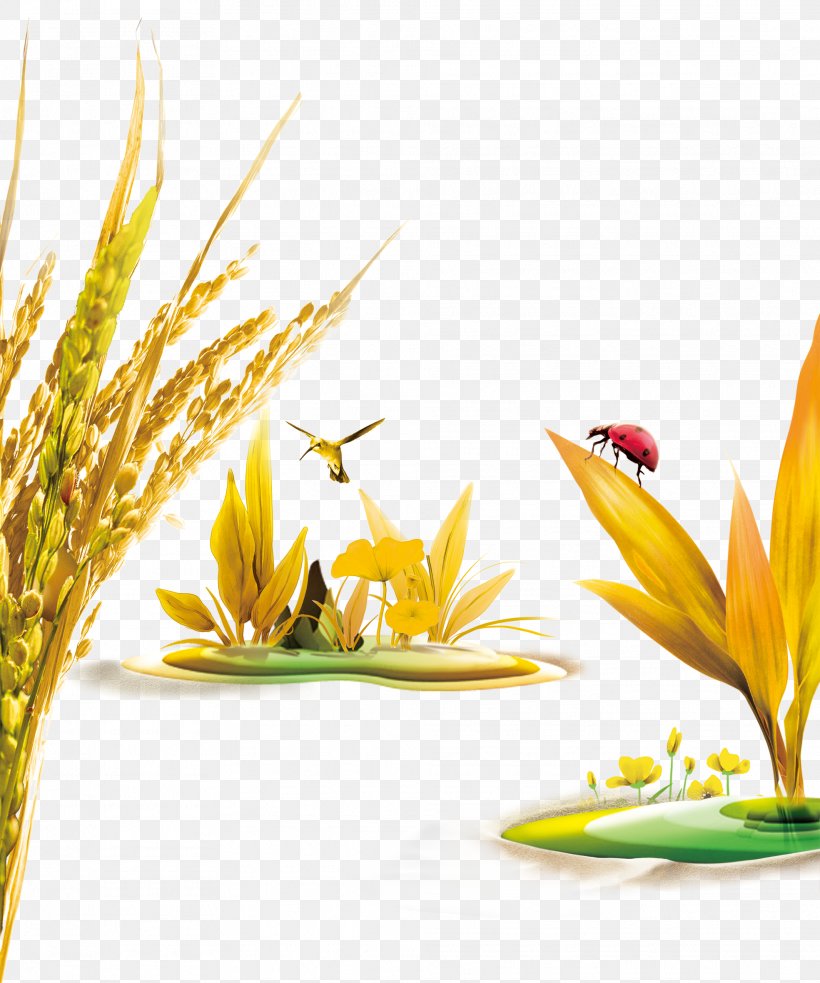 Rice Advertising, PNG, 1969x2362px, Rice, Advertising, Branch, Floral Design, Flower Download Free