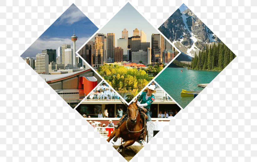 Downtown Calgary Collage Real Estate Tourism, PNG, 691x517px, Downtown Calgary, Calgary, Collage, Real Estate, Stock Photography Download Free