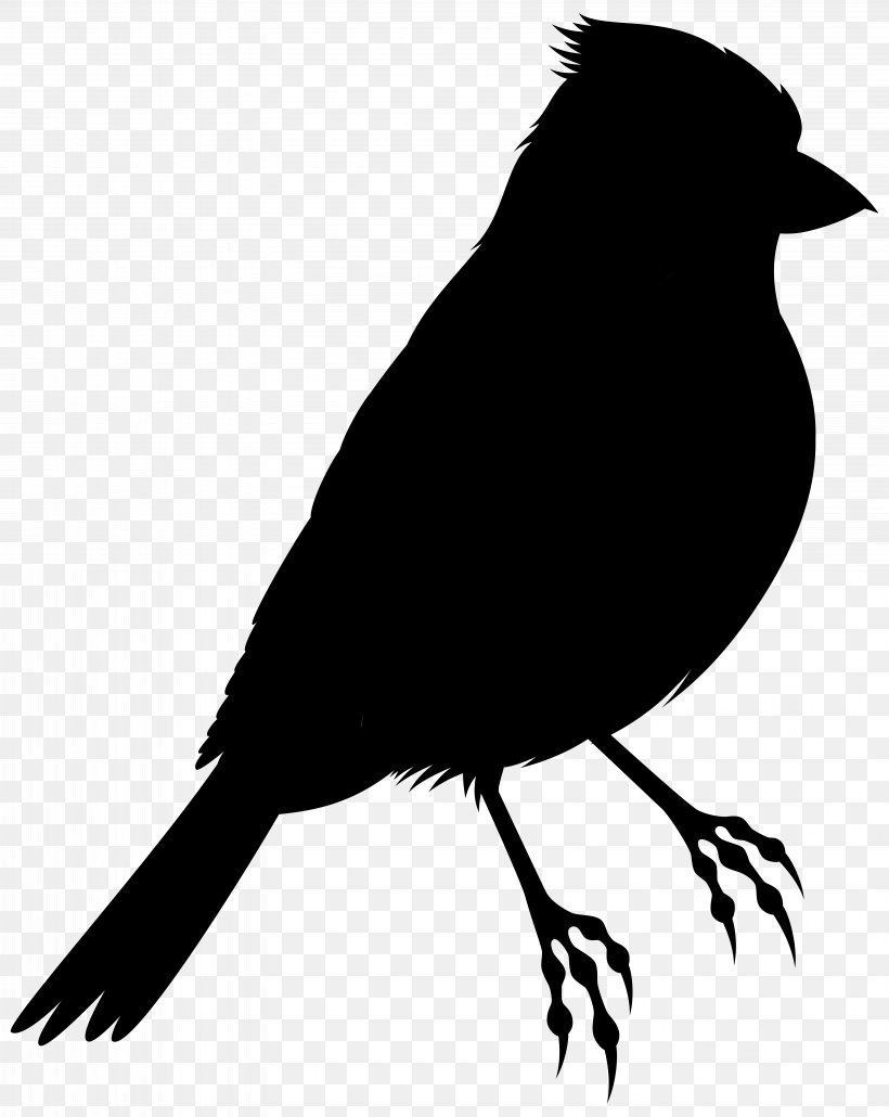 Bird Silhouette Clip Art Illustration Drawing, PNG, 6368x8000px, Bird, Art, Beak, Blackbird, Chickadee Download Free