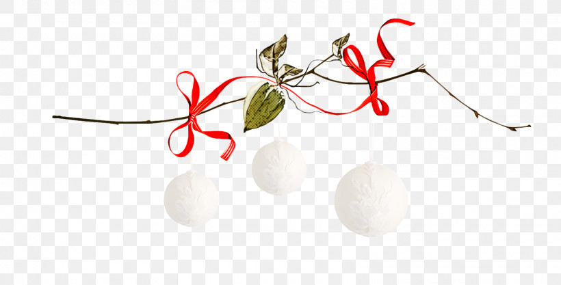 Christmas Ornaments Christmas Decoration Christmas, PNG, 1600x814px, Christmas Ornaments, Christmas, Christmas Decoration, Plant Download Free