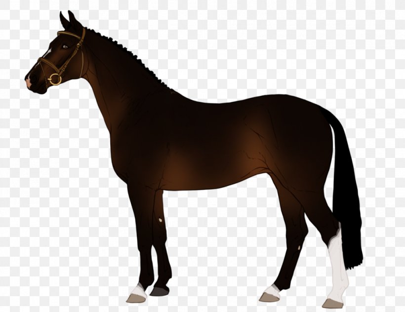 Drawing Stallion Arabian Horse Zazzle, PNG, 1018x785px, Drawing, Animal Figure, Arabian Horse, Black Stallion, Bridle Download Free
