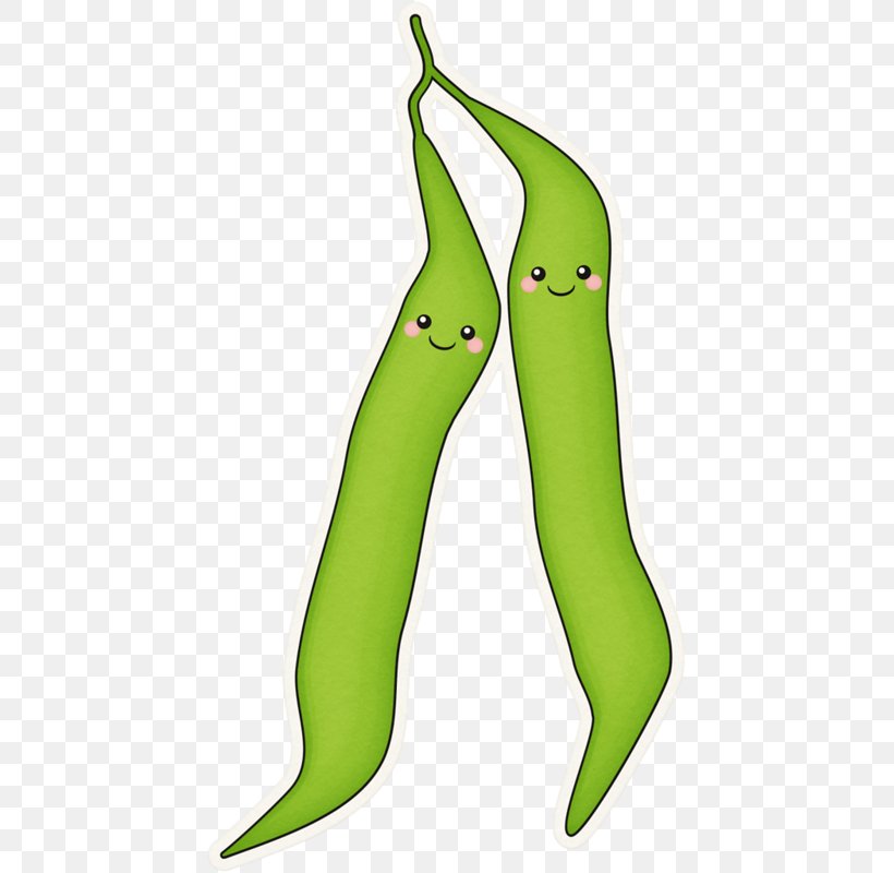 Green Bean Clip Art Vegetable Drawing, PNG, 441x800px, Green Bean, Bean, Can, Cooking, Drawing Download Free