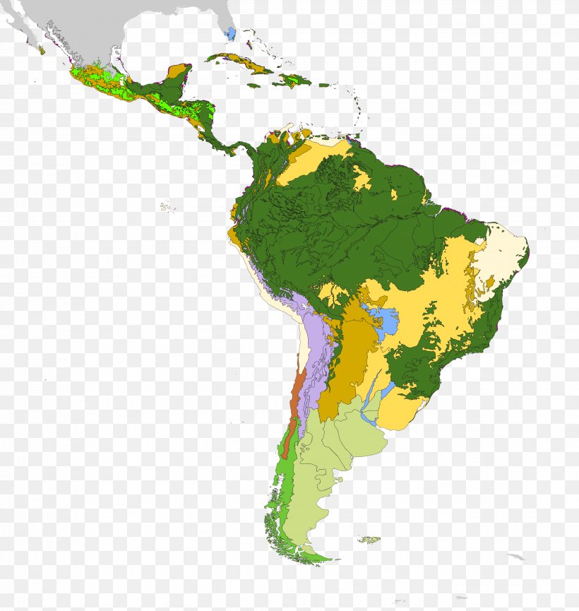 Latin America South America Map Geography Clip Art, PNG, 3456x3646px, Latin America, Americas, Continent, Country, Geography Download Free