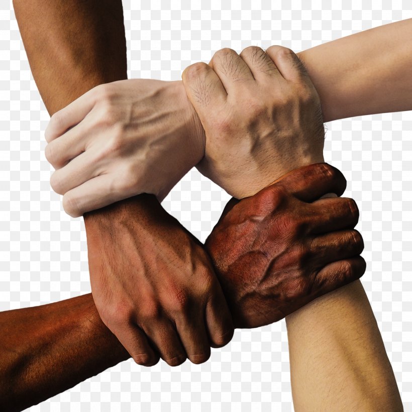 Racism Anti-discrimination Law Race Prejudice, PNG, 1440x1440px, Racism, Antidiscrimination Law, Arm, Belief, Discrimination Download Free