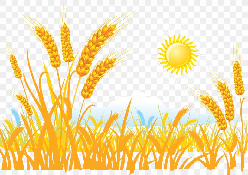 Wheat Sticker Clip Art, PNG, 2739x1943px, Wheat, Cereal, Cereal Germ, Commodity, Coreldraw Download Free