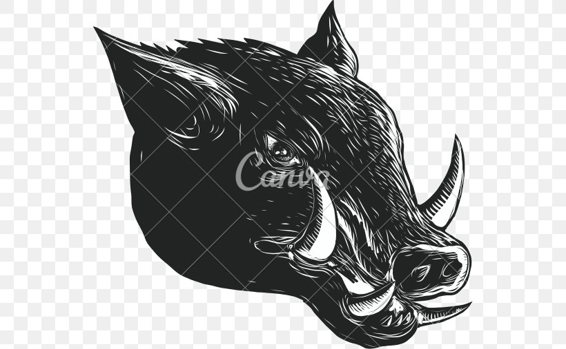 Wild Boar Woodcut Scratchboard, PNG, 550x507px, Wild Boar, Art, Black, Black And White, Carnivoran Download Free