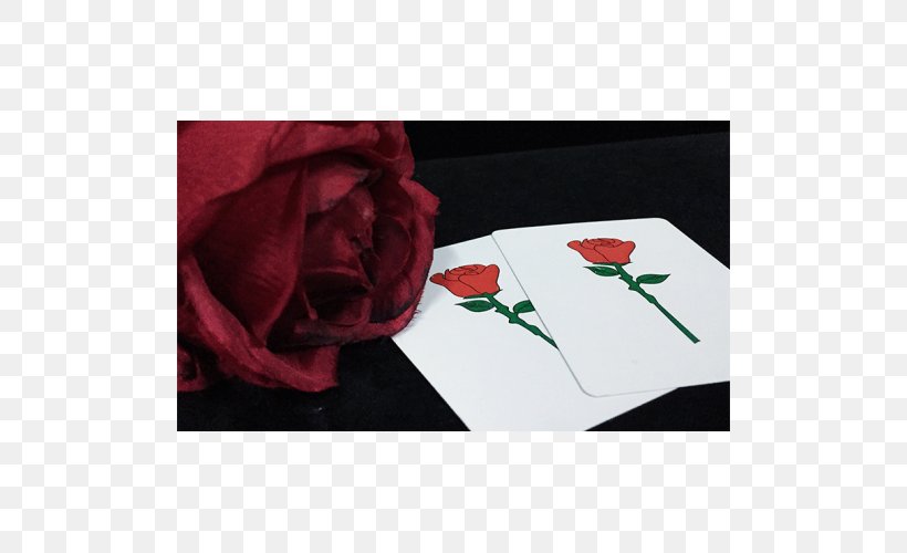Garden Roses Place Mats Rectangle, PNG, 500x500px, Garden Roses, Flower, Garden, Petal, Place Mats Download Free