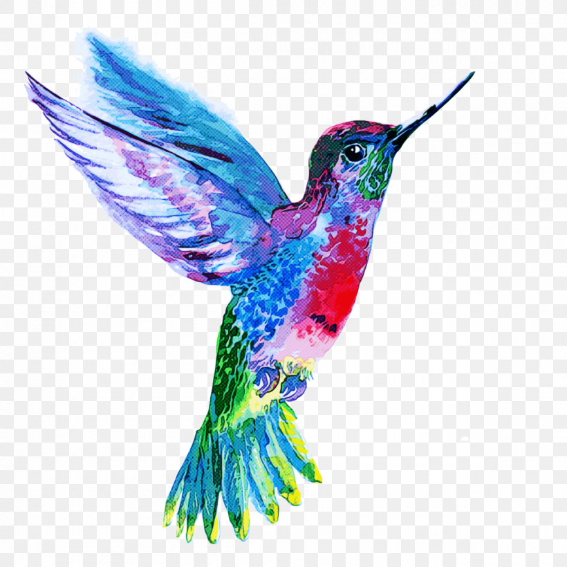 Hummingbird, PNG, 1200x1200px, Bird, Beak, Hummingbird, Rufous Hummingbird, Wing Download Free