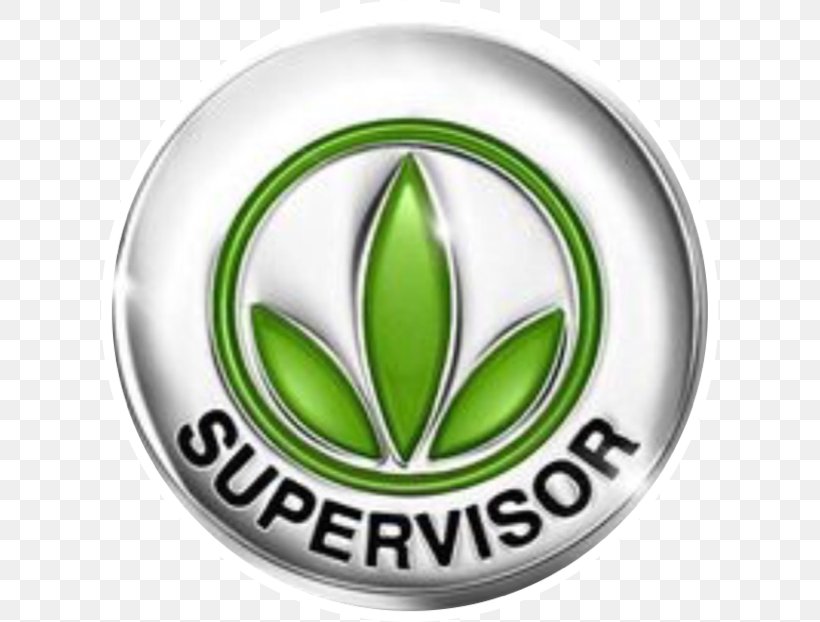 Herbal Center Supervisor Ludhiana Manager Pin, PNG, 618x622px, Herbal Center, Brand, Emblem, Green, Job Download Free
