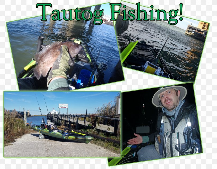 Kayak Fishing Hobby Plastic Cape May, PNG, 1384x1080px, Kayak Fishing, Advertising, Cape May, Collage, Fauna Download Free