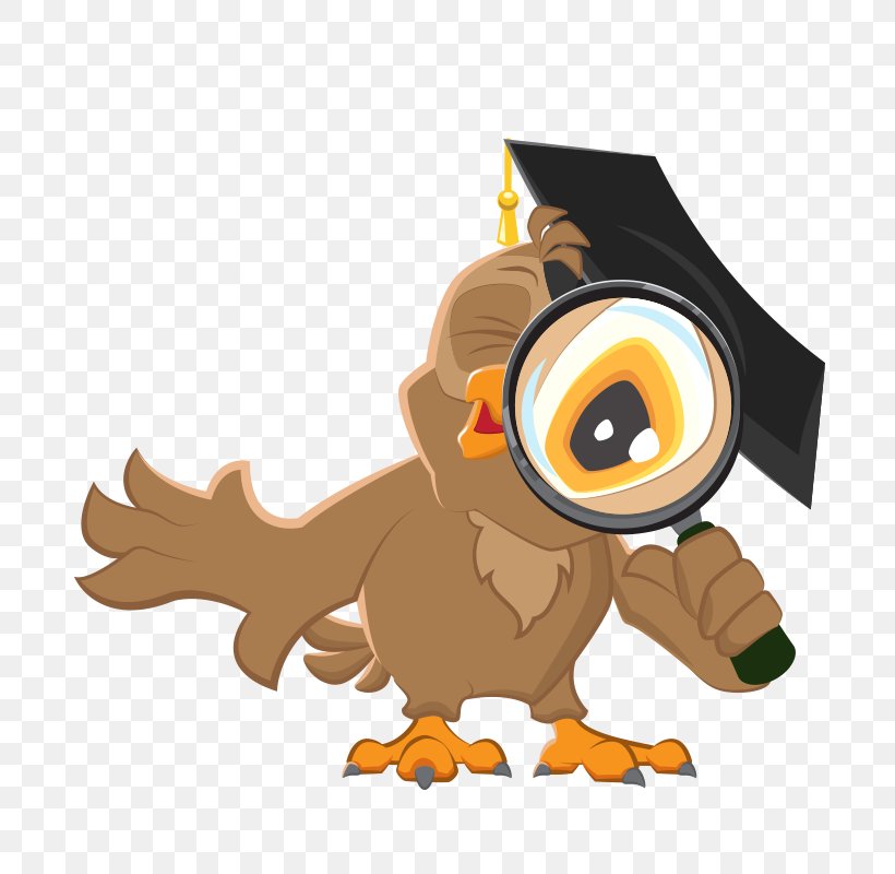 Owl Vector Graphics Clip Art Stock Illustration, PNG, 800x800px, Owl, Beak, Bird, Bird Of Prey, Can Stock Photo Download Free