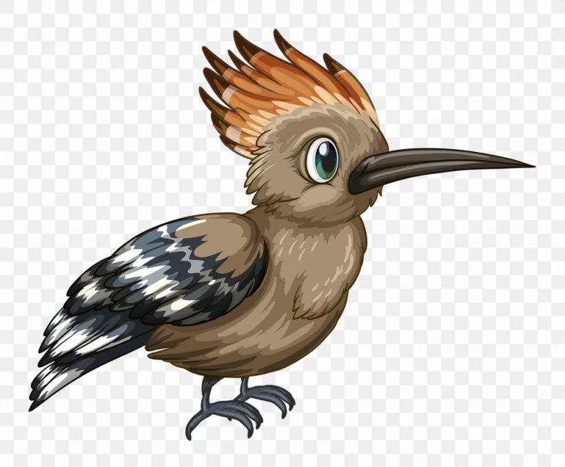 Bird Clip Art, PNG, 1024x848px, Bird, Beak, Bird Collections, Birdwatching, Drawing Download Free