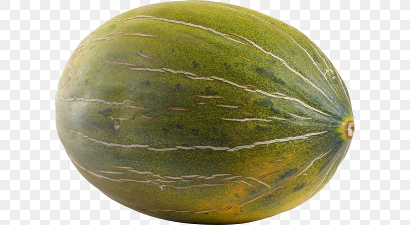 Cantaloupe Honeydew Galia Melon Watermelon, PNG, 600x450px, Cantaloupe, Cucumber, Cucumber Gourd And Melon Family, Cucumis, Cucurbits Download Free