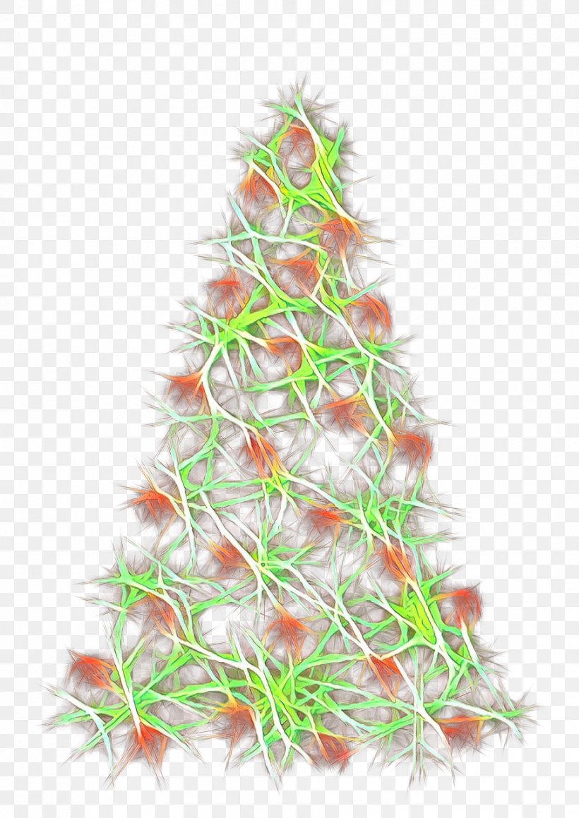 Christmas Tree, PNG, 905x1280px, Christmas Tree, Branch, Christmas Decoration, Colorado Spruce, Conifer Download Free