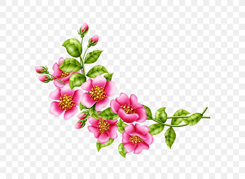 Floral Design Flower Garden Roses Clip Art, PNG, 600x600px, Floral Design, Blossom, Botanical Illustration, Botany, Branch Download Free