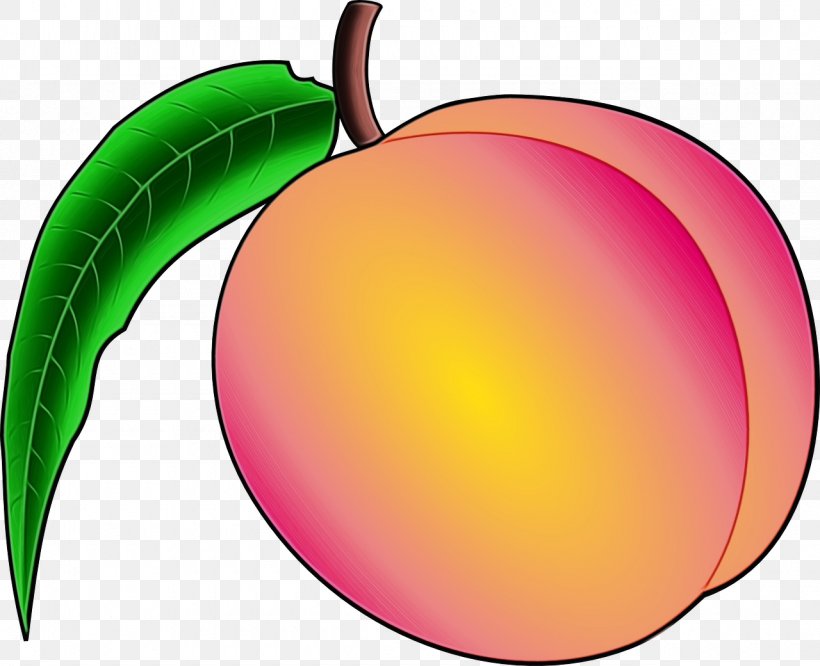 Fruit Plant Leaf Tree Food, PNG, 1280x1040px, Watercolor, Apple, Food, Fruit, Leaf Download Free