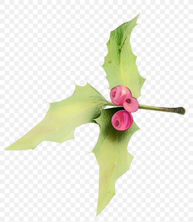 Pink Flower Cartoon, PNG, 1236x1421px, Cut Flowers, Automotive Wheel System, Floral Design, Flower, Holly Download Free