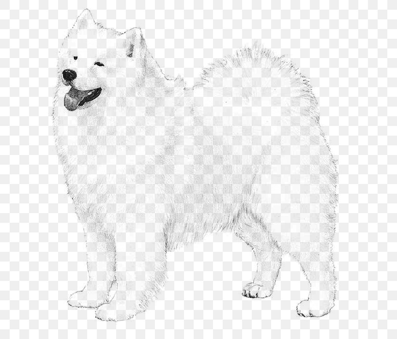 Samoyed Dog American Cocker Spaniel Labrador Retriever Bulldog Pointer, PNG, 700x700px, Samoyed Dog, American Cocker Spaniel, American Eskimo Dog, American Kennel Club, Ancient Dog Breeds Download Free