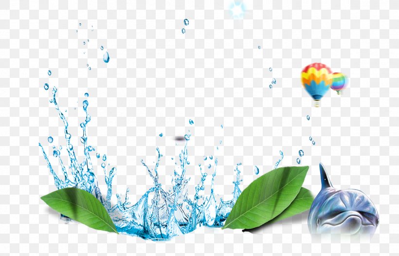Water Drop, PNG, 1145x735px, Water, Drop, Flora, Flower, Leaf Download Free