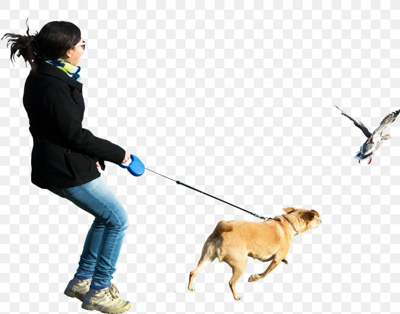 Dog Walking Clip Art, PNG, 1100x864px, Dog, Carnivoran, Dog Breed, Dog Like Mammal, Dog Walking Download Free