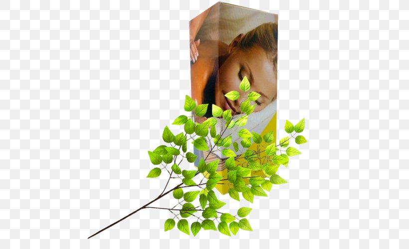 Floral Design Leaf Twig Flowerpot, PNG, 500x500px, Floral Design, Branch, Flower, Flower Arranging, Flowerpot Download Free
