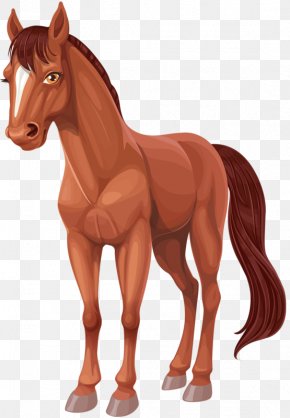 Arabian Horse Images, Arabian Horse Transparent PNG, Free download