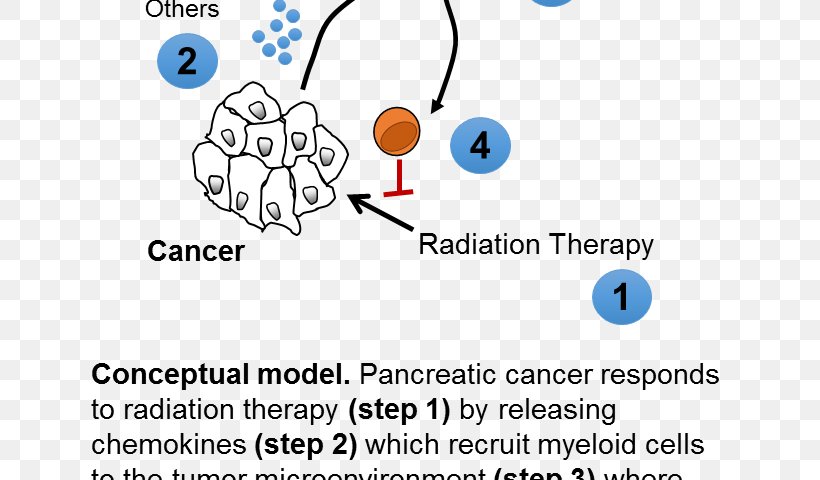 Radiation Therapy Perelman School Of Medicine Radiation Oncologist Pancreatic Cancer, PNG, 672x480px, Watercolor, Cartoon, Flower, Frame, Heart Download Free