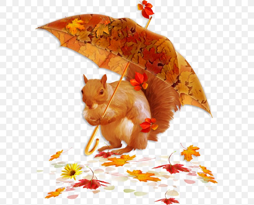 Autumn Blog Rain Social Media, PNG, 591x662px, Autumn, Blog, Leaf, Orange, Photography Download Free