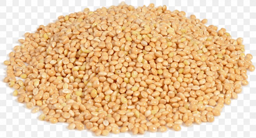 Boza Proso Millet Groat Cereal, PNG, 1500x809px, Boza, Bean, Bran, Caryopsis, Cereal Download Free