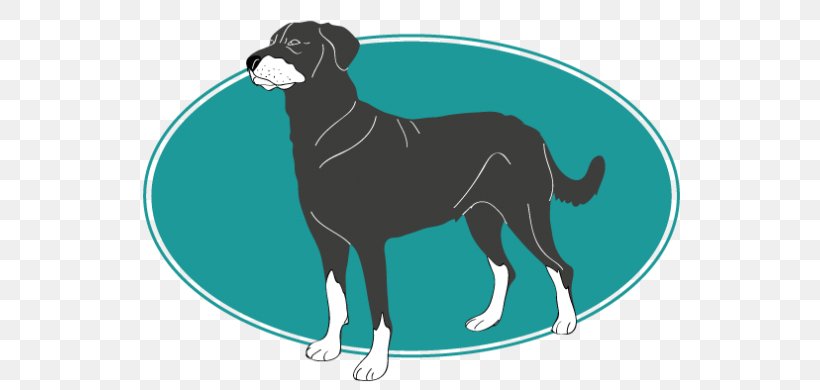 Dog Breed Italian Greyhound Puppy Graphics, PNG, 720x390px, Dog Breed, Breed, Carnivoran, Dog, Dog Like Mammal Download Free