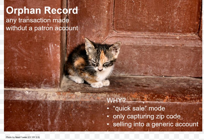 Feral Cat Kitten Puppy, PNG, 1543x1064px, Cat, Animal Welfare, Black Cat, Carnivoran, Cat Like Mammal Download Free