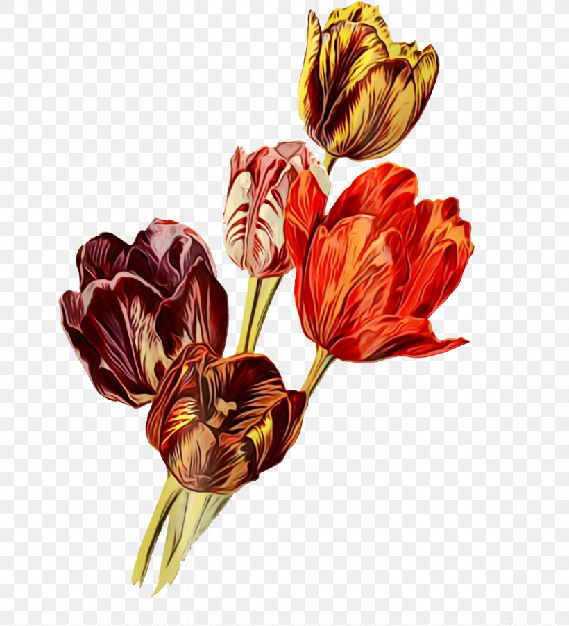 Floral Design, PNG, 1164x1280px, Watercolor, Biology, Cut Flowers, Floral Design, Flower Download Free