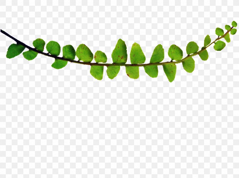 Green Leaf Background, PNG, 1280x957px, Fern, Branch, Flower, Green, Leaf Download Free