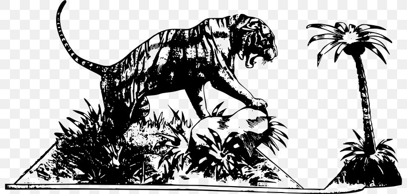 Lion Tiger Roar Clip Art, PNG, 800x392px, Lion, Big Cats, Black And White, Carnivoran, Cartoon Download Free