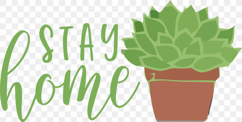 STAY HOME, PNG, 3000x1524px, Stay Home, Biology, Flowerpot, Herb, Leaf Download Free