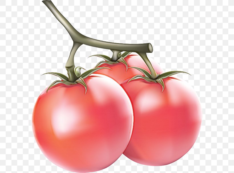 Tomato, PNG, 600x606px, Natural Foods, Bush Tomato, Food, Fruit, Local Food Download Free