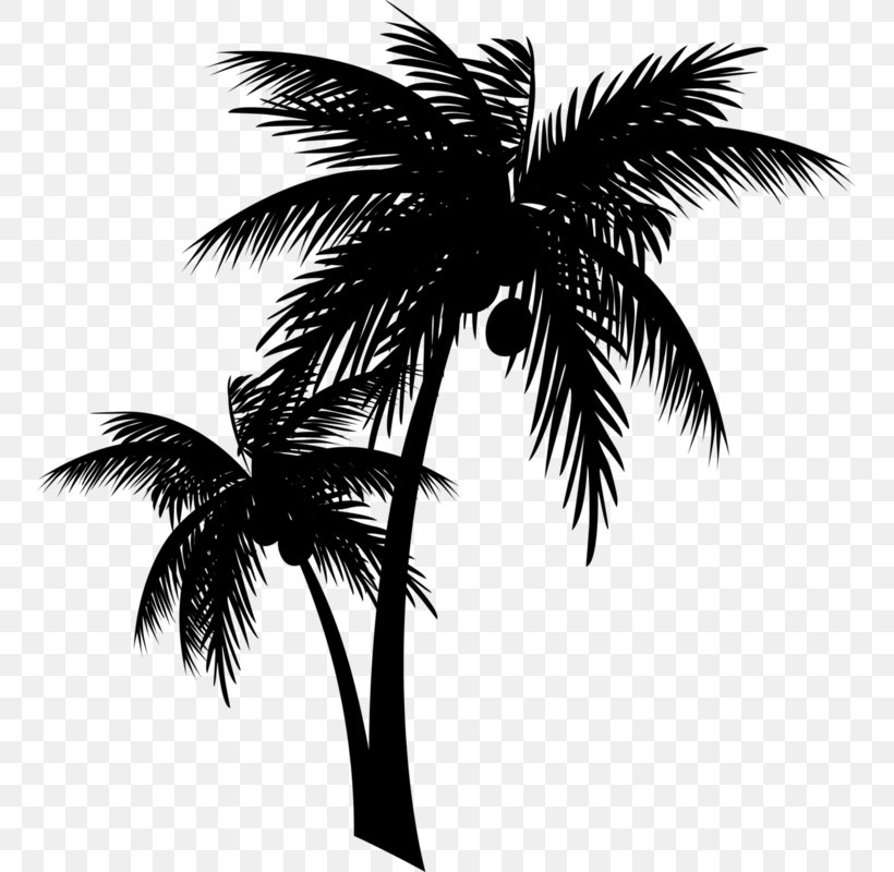 Asian Palmyra Palm Hutt Ribs Takeaway Kerala Palm Trees Tea, PNG, 751x800px, Asian Palmyra Palm, Arecales, Attalea Speciosa, Babassu, Blackandwhite Download Free