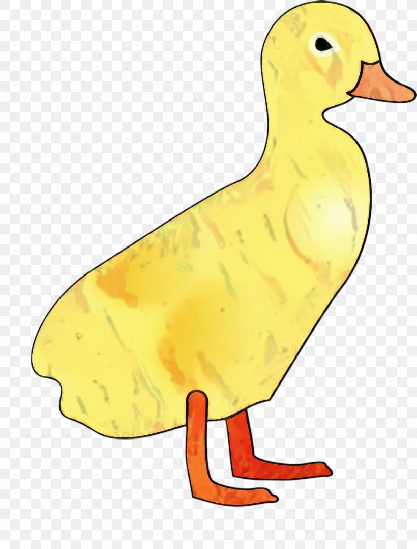 Chicken Cartoon, PNG, 973x1280px, Duck, Animal, Beak, Bird, Chicken Download Free