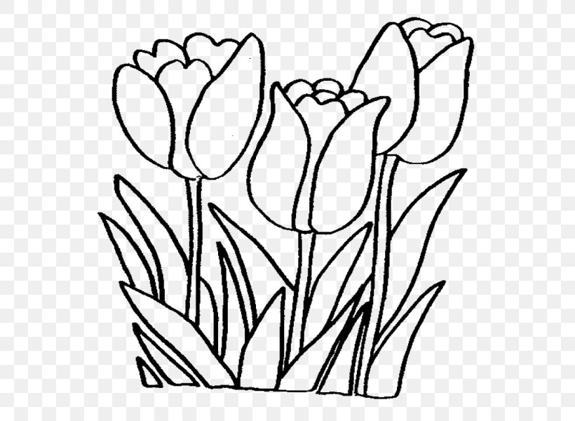 Coloring Book Flower Bouquet Drawing, PNG, 600x600px, Coloring Book, Adult, Black And White, Book, Child Download Free