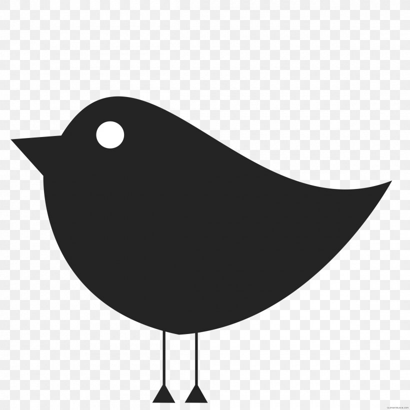 Drawing: Colored Pencil Vector Graphics Clip Art Image, PNG, 2400x2400px, Drawing Colored Pencil, Art, Beak, Bird, Black And White Download Free