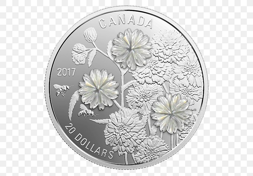 Silver Coin Canada Flower, PNG, 570x570px, Coin, American Silver Eagle, Black And White, Bullion, Bullion Coin Download Free