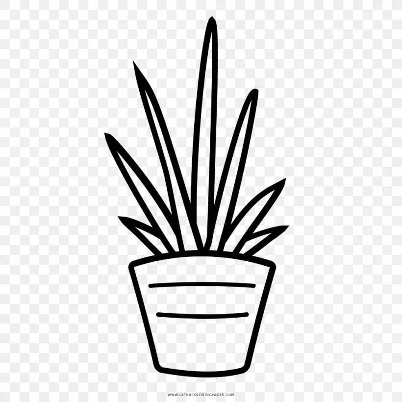 Coloring Book Drawing Cactaceae Child, PNG, 1000x1000px, Coloring Book, Black And White, Cactaceae, Child, Drawing Download Free