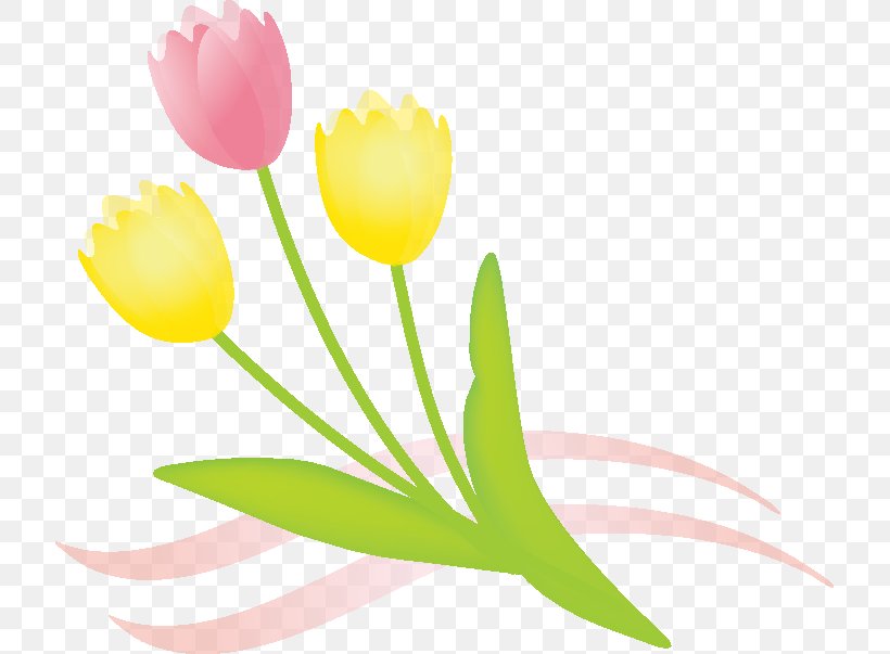 Cut Flowers Tulip Floral Design Floristry, PNG, 717x603px, Flower, Cut Flowers, Floral Design, Floristry, Flowering Plant Download Free