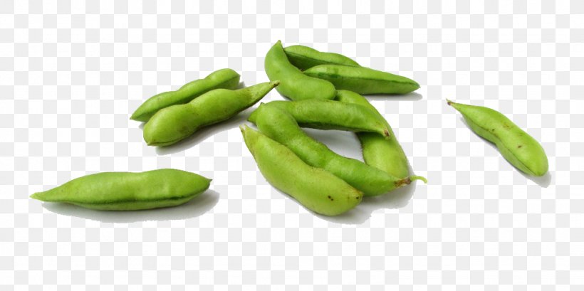 Pea Edamame Vegetarian Cuisine Soybean, PNG, 1024x511px, Pea, Bean, Broad Bean, Commodity, Edamame Download Free