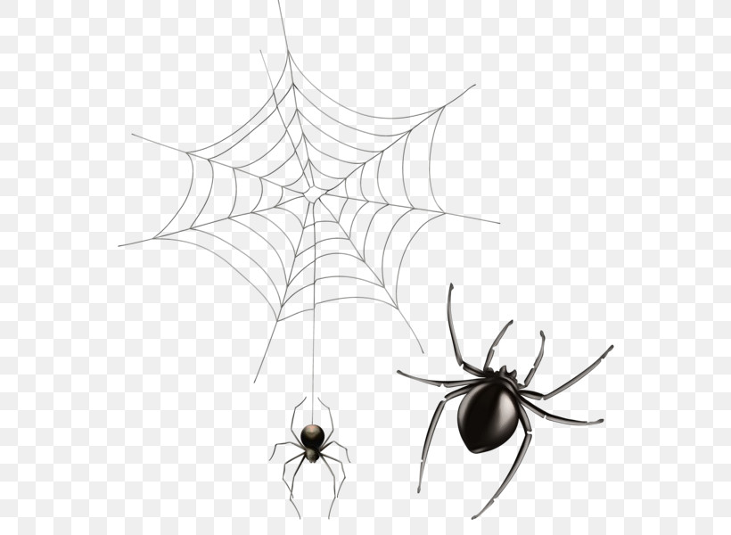 Spider Web, PNG, 593x600px, Watercolor, Black And White, Insects, Leaf, Line Download Free