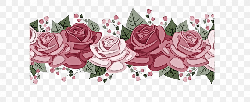 Garden Roses, PNG, 1686x689px, Garden Roses, Cut Flowers, Flower, Petal, Pink Download Free