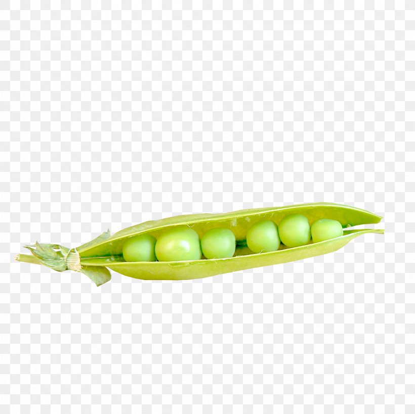 Pea Bean, PNG, 2362x2362px, Pea, Bean, Broad Bean, Common Bean, Corn On The Cob Download Free