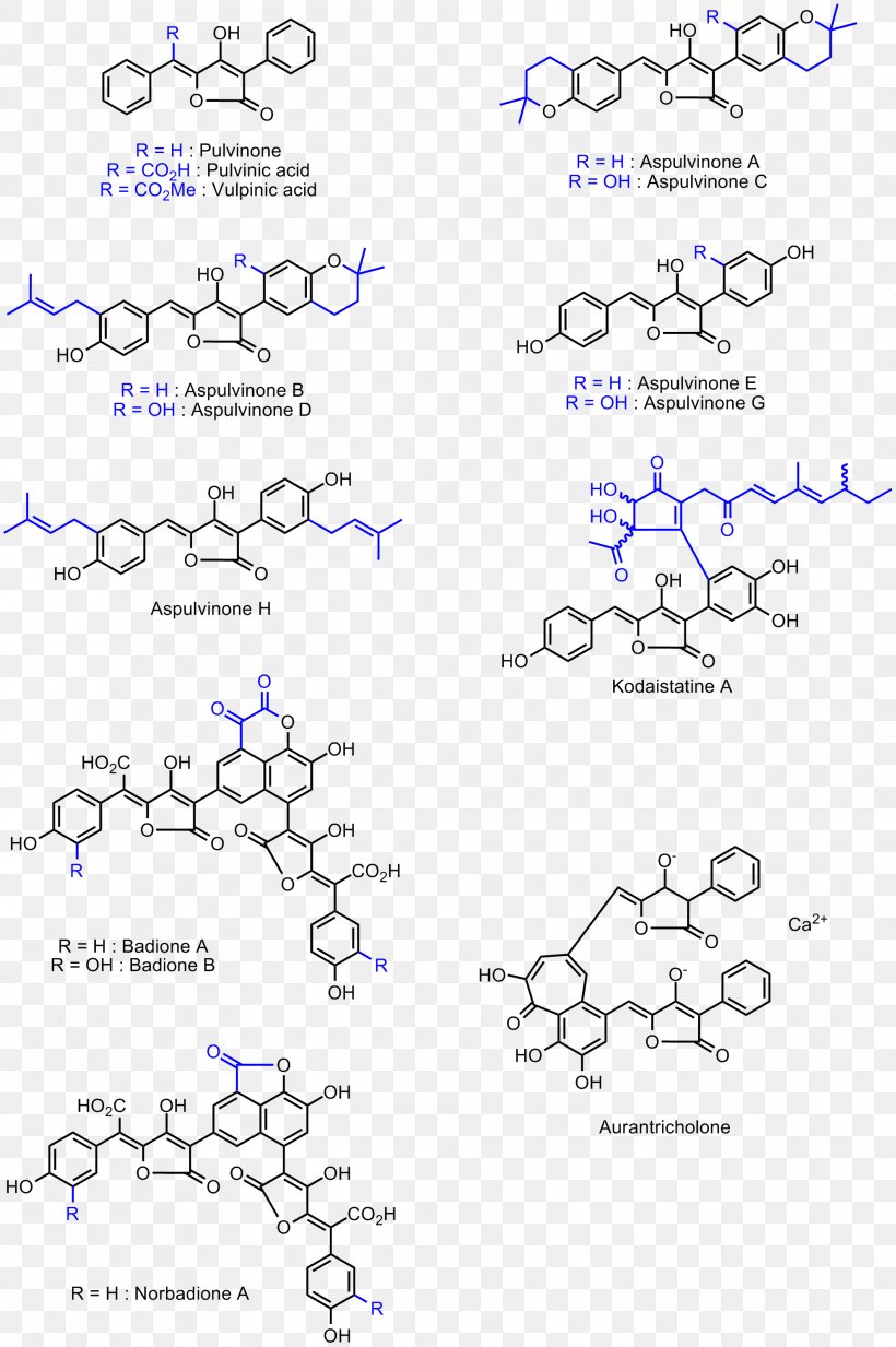 Vancomycin-resistant Enterococcus Line Angle, PNG, 1985x2986px, Vancomycinresistant Enterococcus, Area, Diagram, Enterococcus, Text Download Free